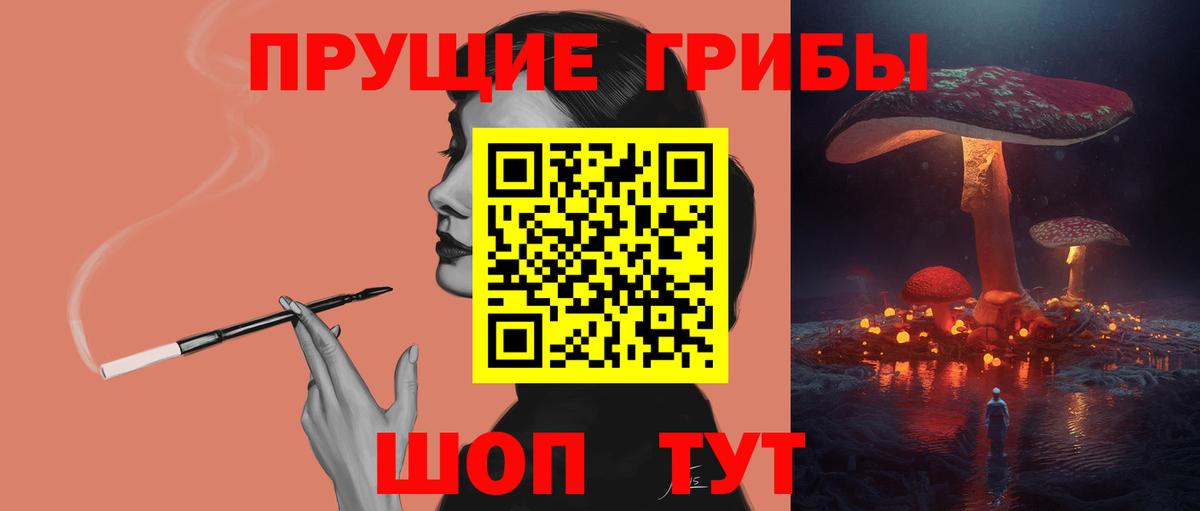 Черняховск  Псилоцибиновые грибы Psilocybe  Вход с VPN 